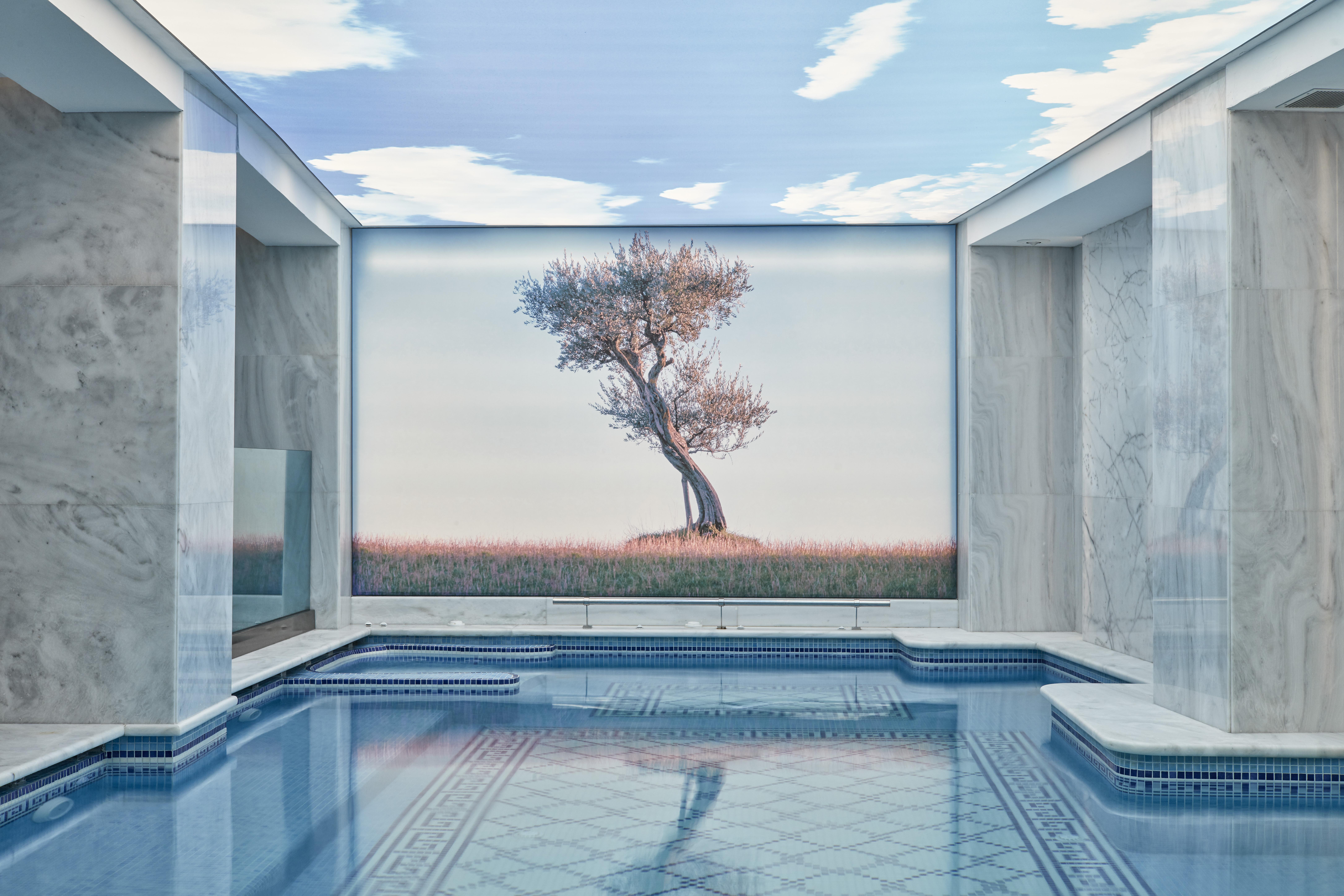 Electra Metropolis Hotel Athena Bagian luar foto The image depicts an elegant indoor space featuring a swimming pool. The pool area is surrounded by marble walls, giving it a sophisticated look. At the far end, there is a large mural of a solitary tree against a backdrop of soft blue skies, enhanci